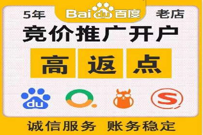 某电商平台的SEM推广实践与效果展示